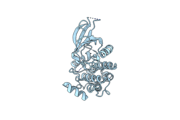 3DXN image