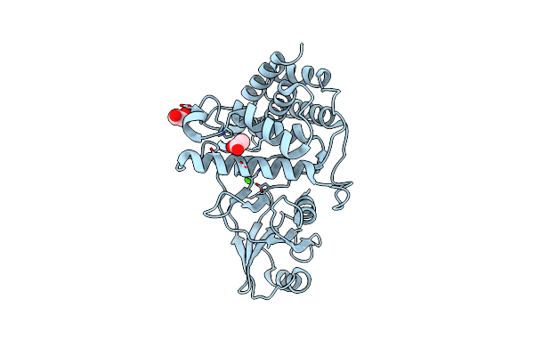 3DXP image