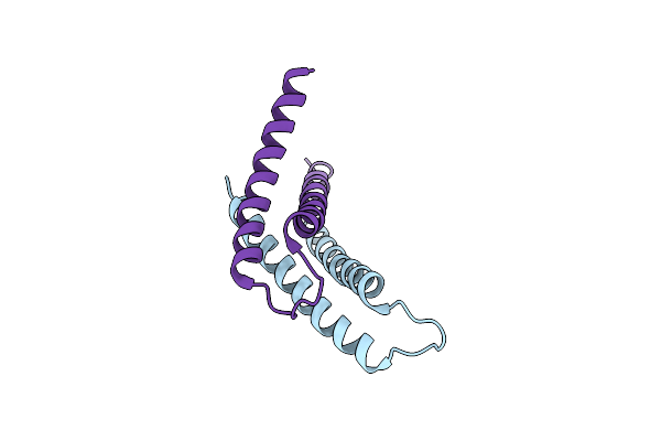 3DXR image