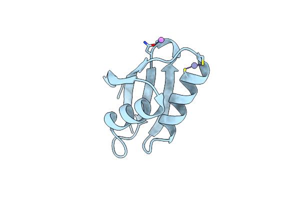 3DXS image