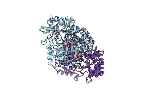 3DXV image