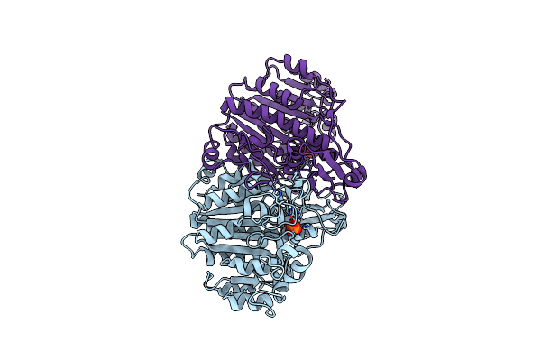 3DYC image