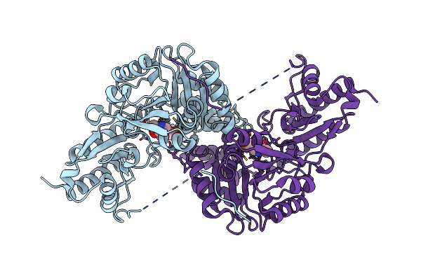 3DYD image