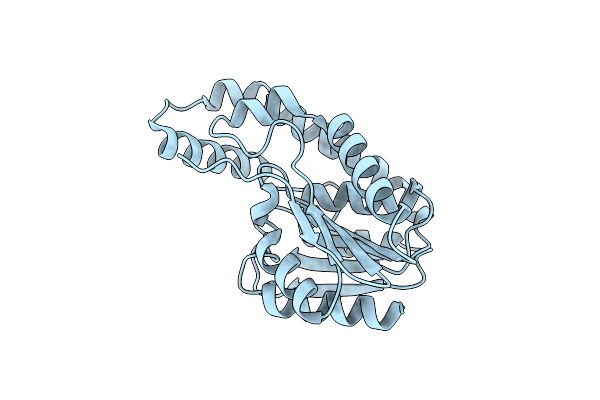 3DYI image