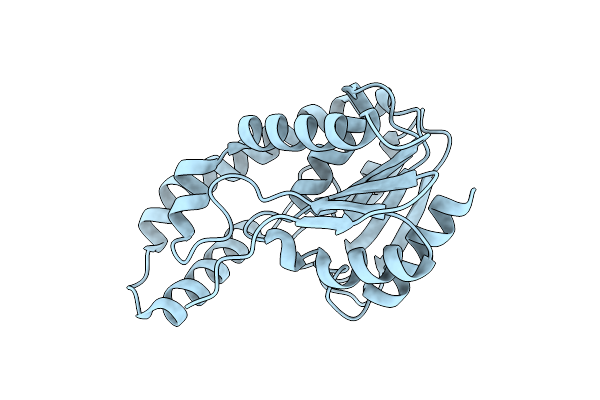 3DYV image