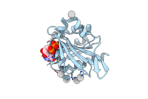 3DZ8 image