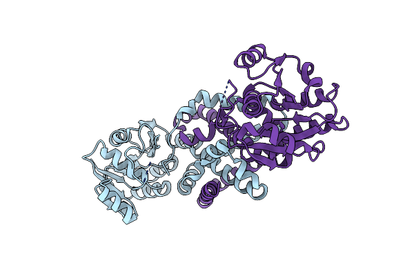 3DZB image