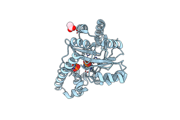 3E0F image