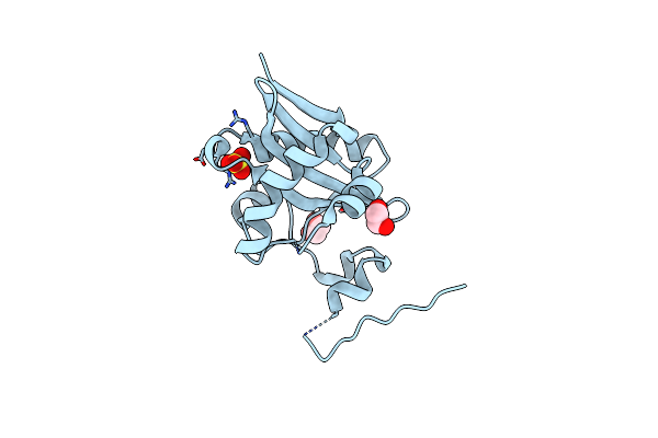 3E0K image
