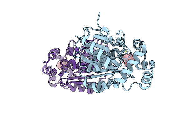 3E0X image