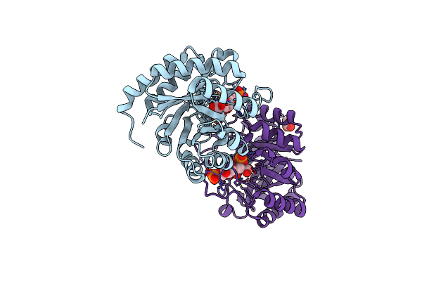 3E12 image