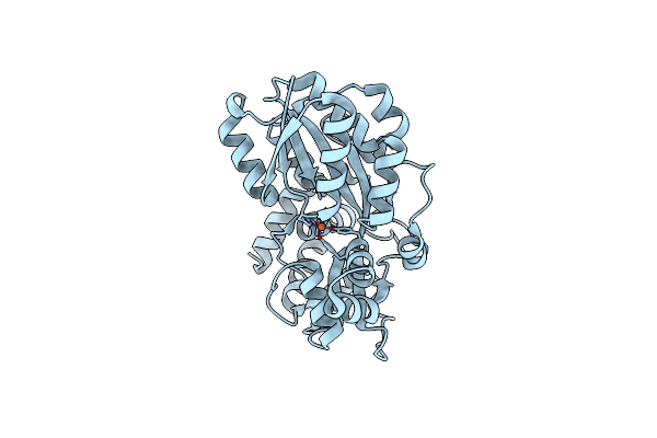 3E13 image