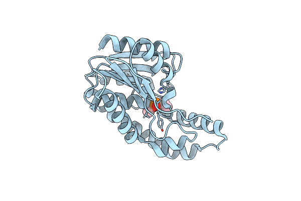 3E1G image