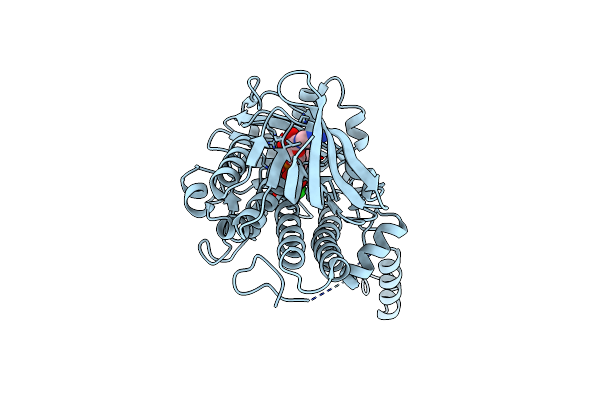 3E1T image