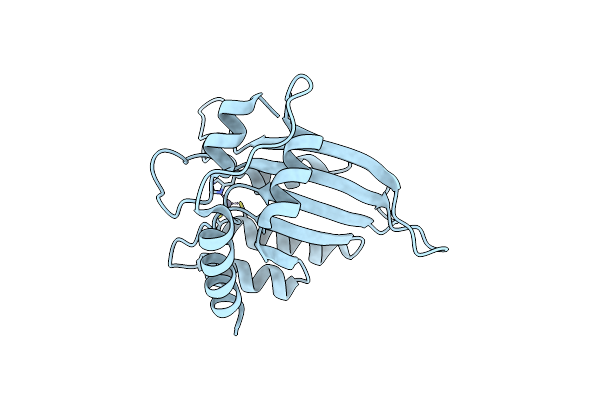 3E1U image