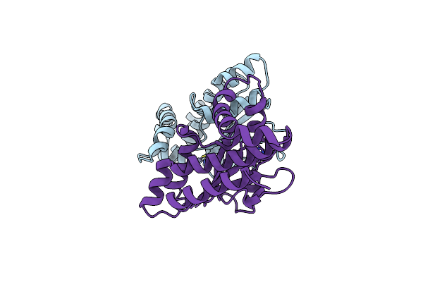 3E1V image