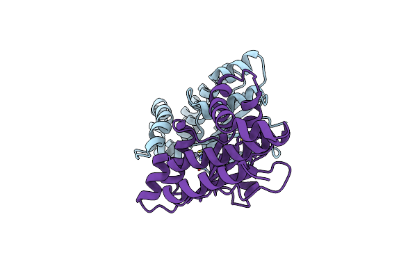 3E1W image