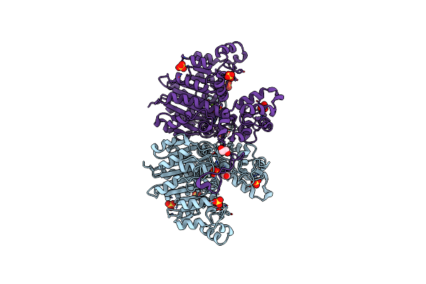 3E2D image