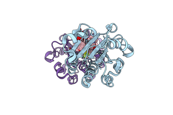 3E2M image