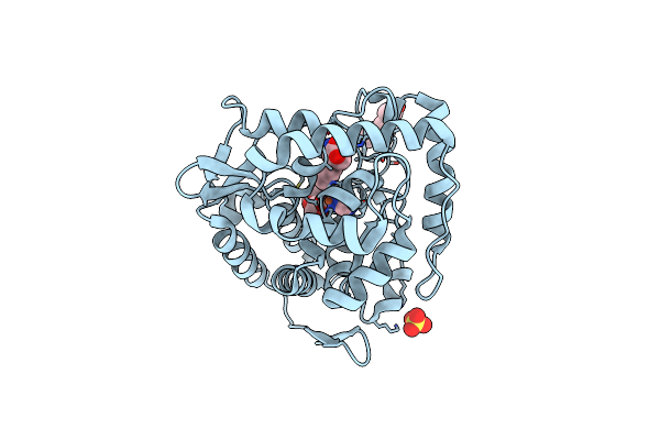 3E2T image