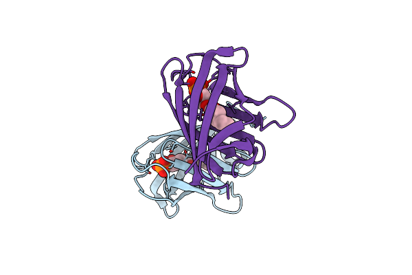 3E3C image