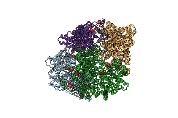 3E3L image