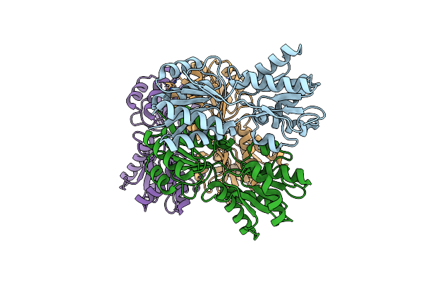 3E3M image