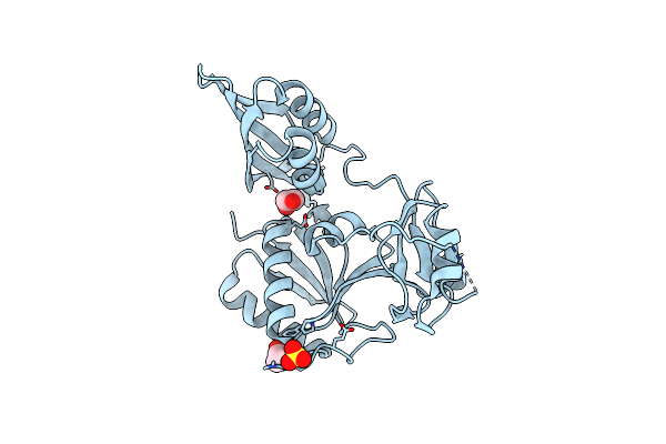 3E3X image