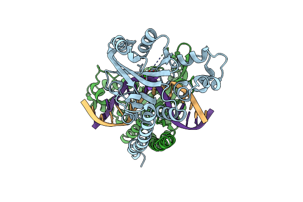 3E3Y image