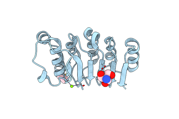3E3Z image