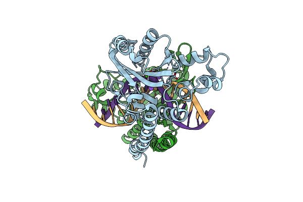 3E40 image