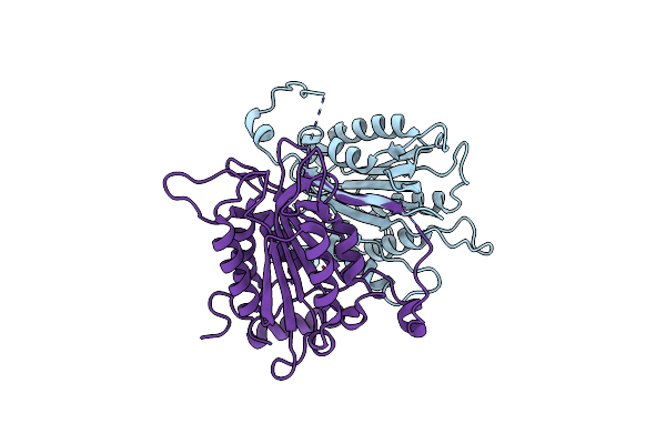 3E4C image