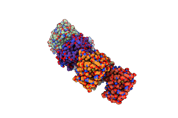 3E4D image