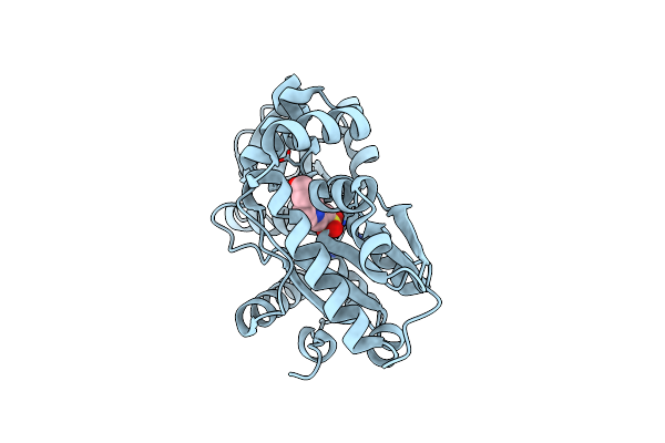 3E4R image
