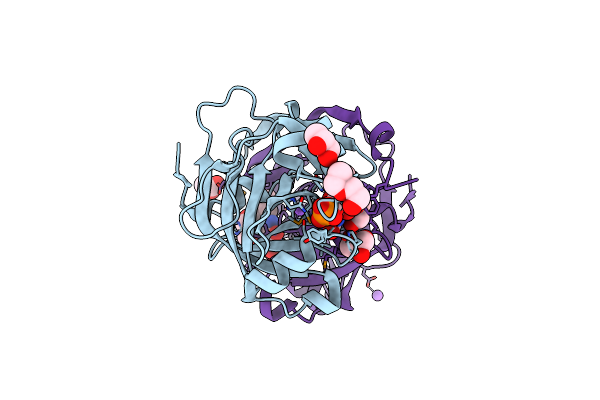 3E4V image