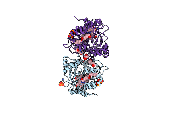 3E4W image