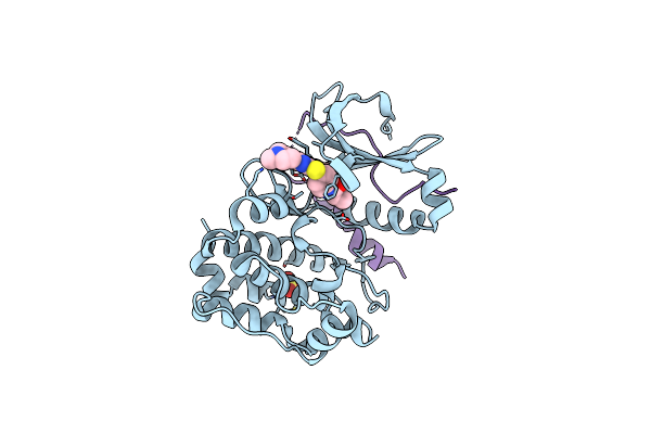 3E5A image