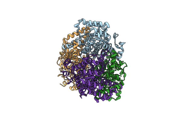 3E5B image