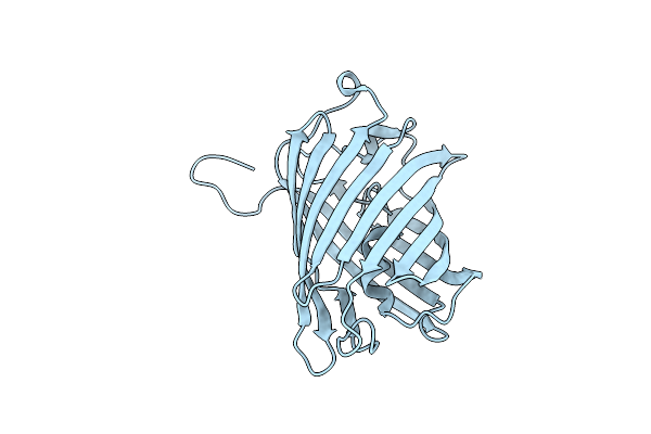 3E5T image
