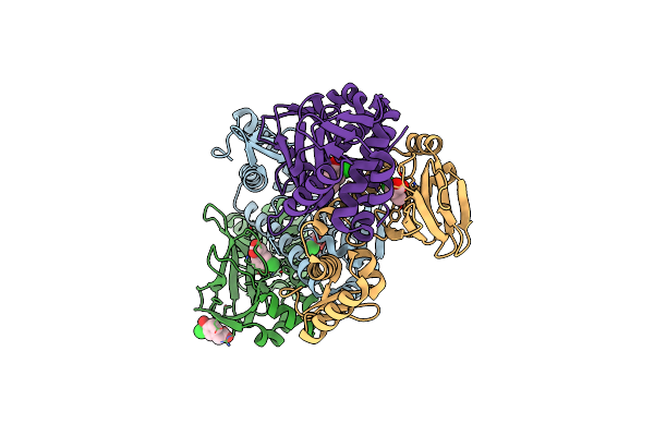 3E5X image