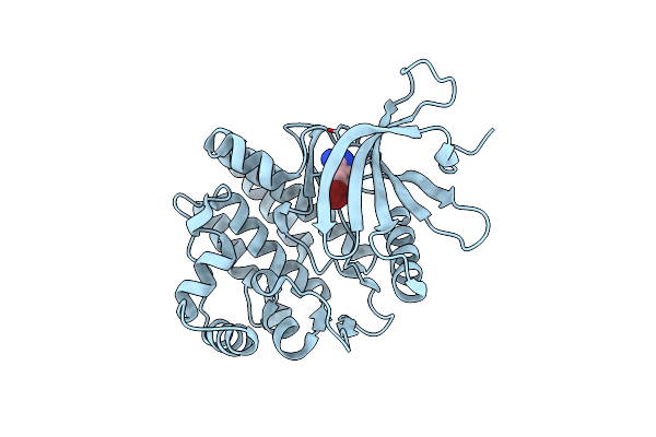 3E62 image
