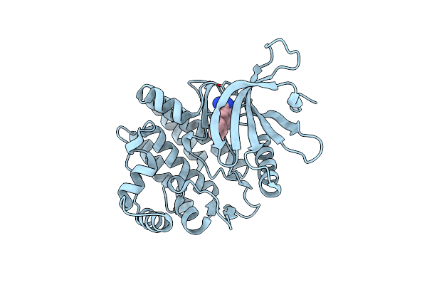 3E63 image
