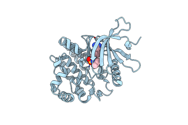 3E64 image