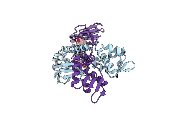 3E6B image