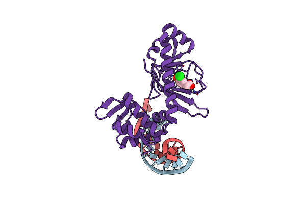 3E6C image