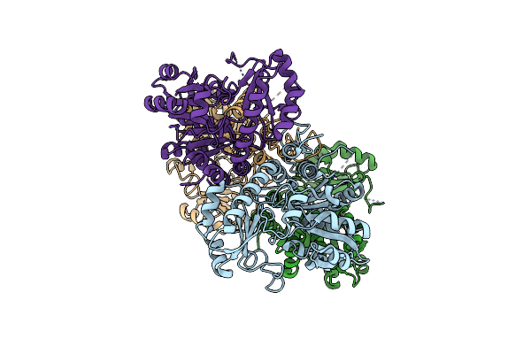 3E6G image