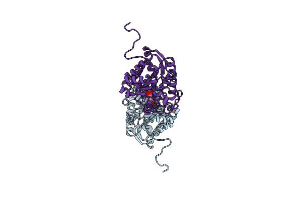 3E6V image