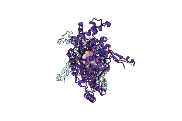 3E7T image