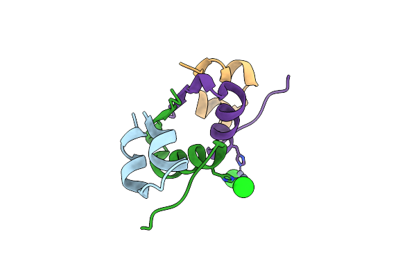 3E7Z image