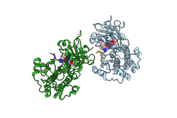 3E8D image